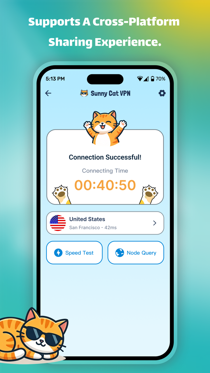 Sunny Cat VPN connection result with speed test and node query tools
